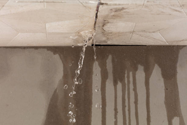 Professional Burst Pipe Cleanup technician working in Dowelltown, TN